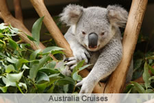 Australia Cruises